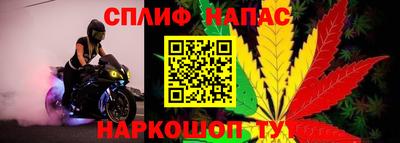 стафф Тара