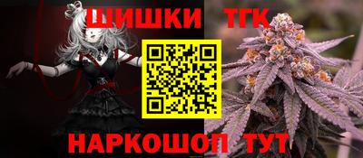 мдпв Татарск