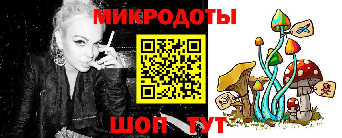 Элиста  Галлюциногенные грибы прущие грибы  Вход с VPN 